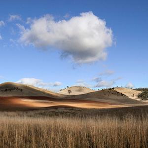"Rolling Hills." Photo by Andrew Fuller.
